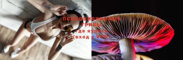 a pvp Абинск
