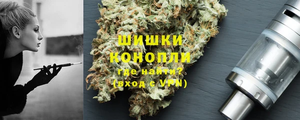 индика Каменка