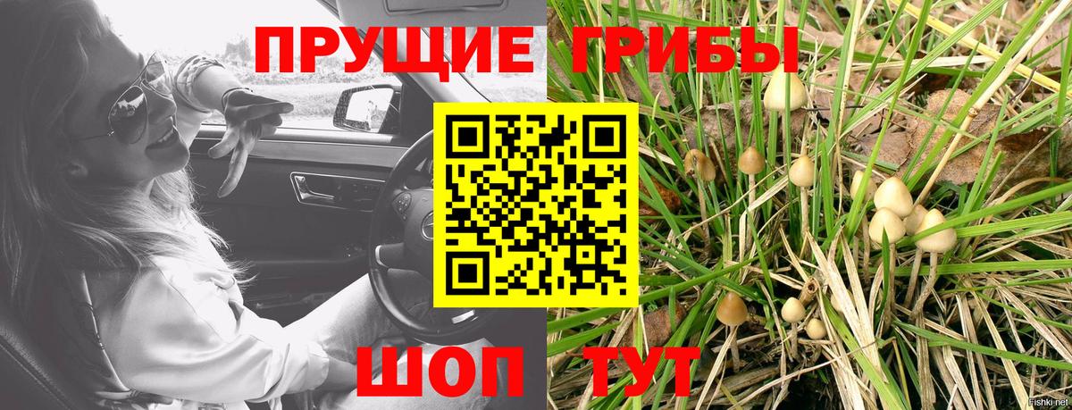 Ростов-на-Дону  Псилоцибиновые грибы ЛСД  Галлюциногенные грибы мухоморы  Вход с VPN 